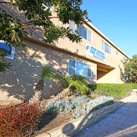 a building with a blue sign that says "willow creek" is on the corner of a street.