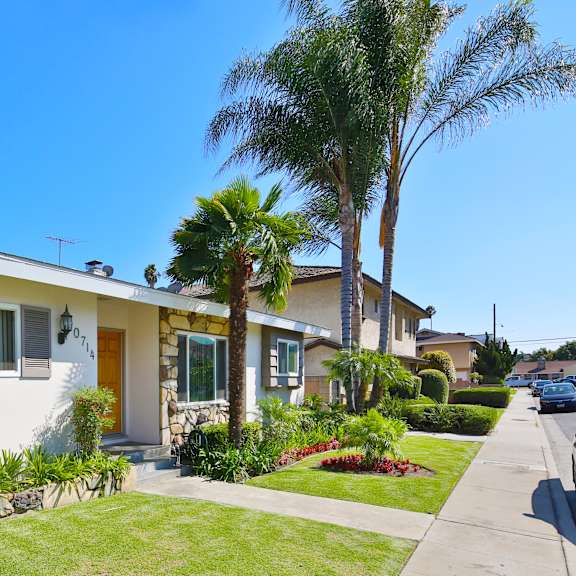 a house with a white exterior and a brown door is surrounded by palm trees.