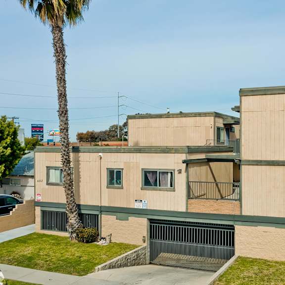a building with a palm tree in front of it.