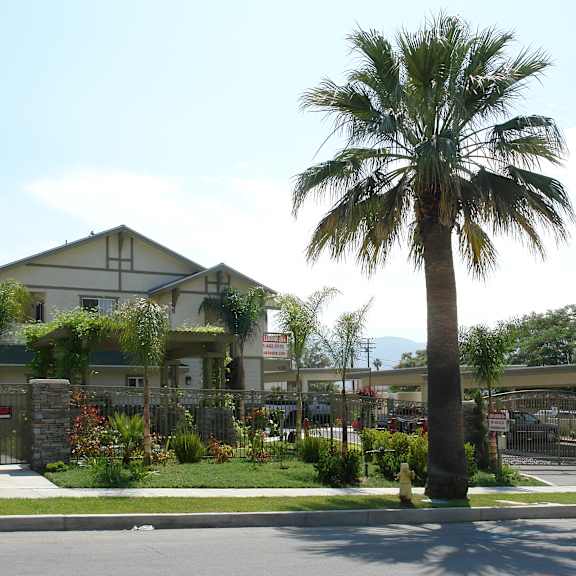 a palm tree stands in front of a building with a gate.