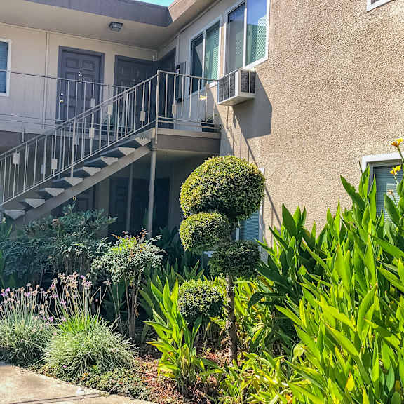 a building with a staircase and plants in front.