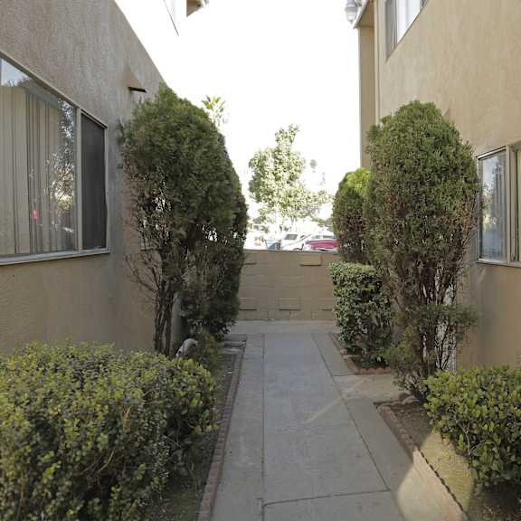 a narrow alley between two buildings with bushes on the sides.
