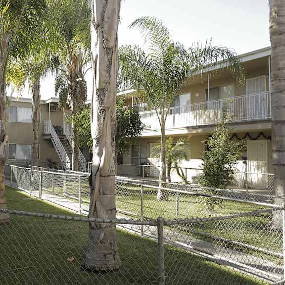a chain link fence surrounds a grassy area with palm trees and apartment buildings in the background.