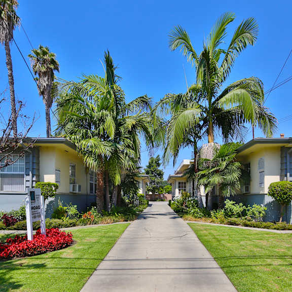 a residential street lined with palm trees and houses.