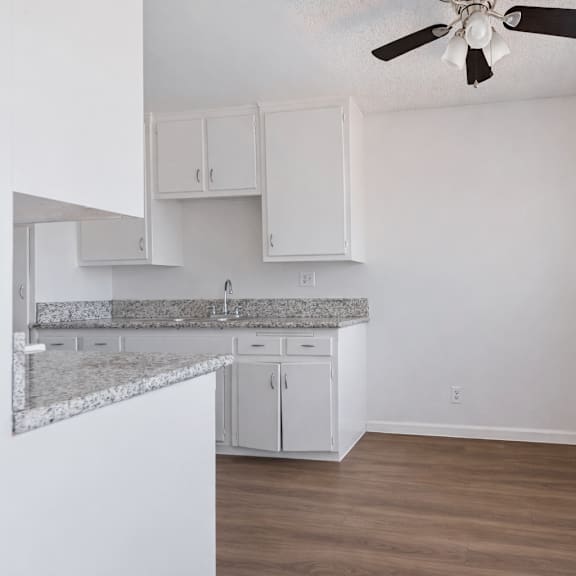 a kitchen with white cabinets and a marble countertop.