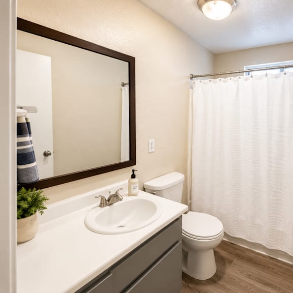a white toilet sits next to a sink in a bathroom.