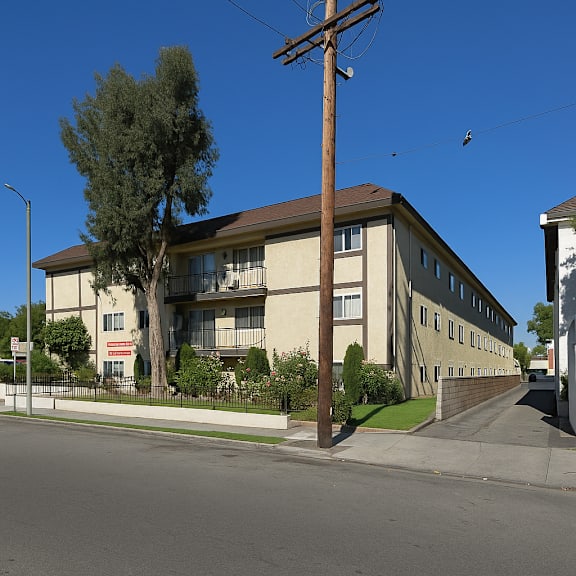 a tree in front of a building with a clear blue sky.