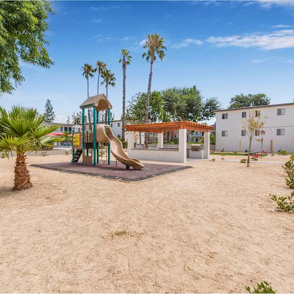 a playground with a slide and a palm tree.