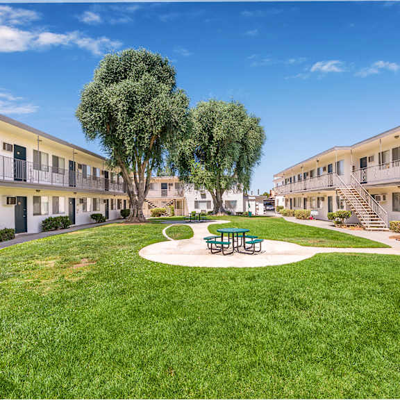 a sunny day at a courtyard with a green lawn and a tree.