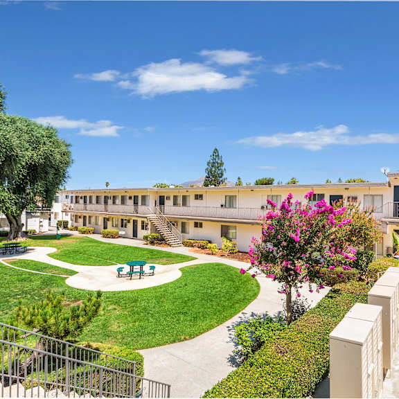 a courtyard with a green lawn and a pink flowering tree.