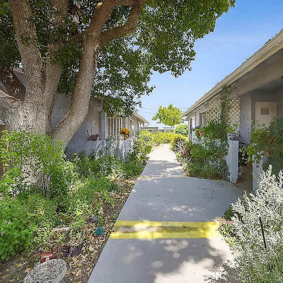 a tree-lined walkway in a residential area.