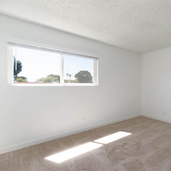 a room with a carpeted floor and a window letting in sunlight.