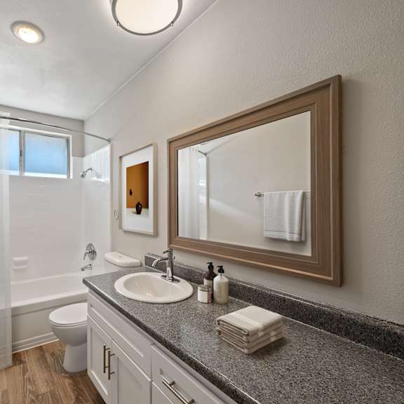 a bathroom with a sink, mirror, and shower.