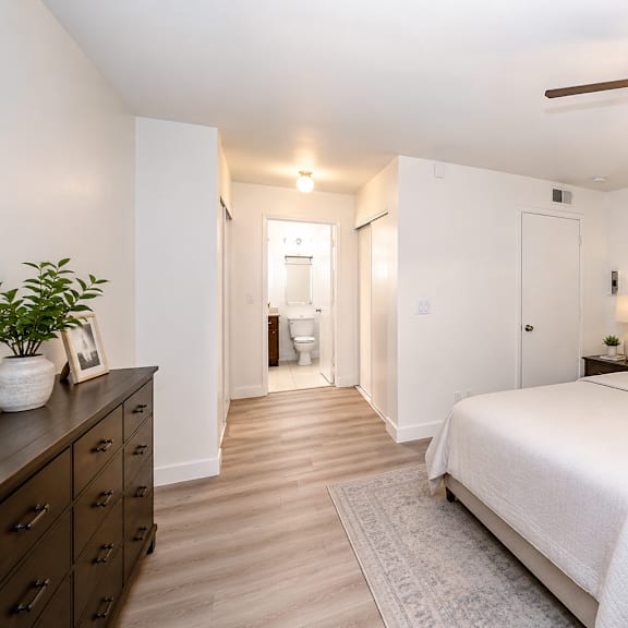 a bedroom with a large bed, a ceiling fan, and a plant on the dresser.