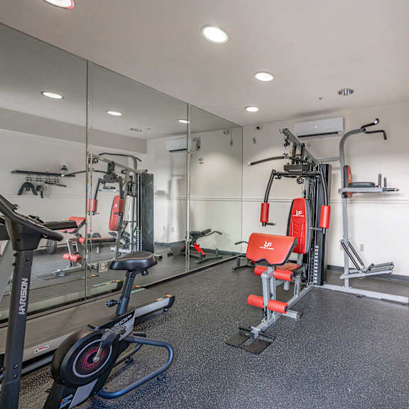 a gym with a variety of equipment including a treadmill, weights, and a bench press.