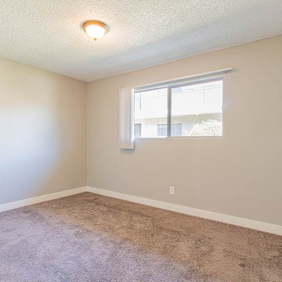 a room with a carpeted floor and a window.