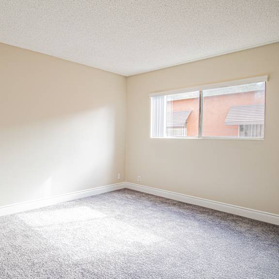 a room with a carpeted floor and a window letting in sunlight.