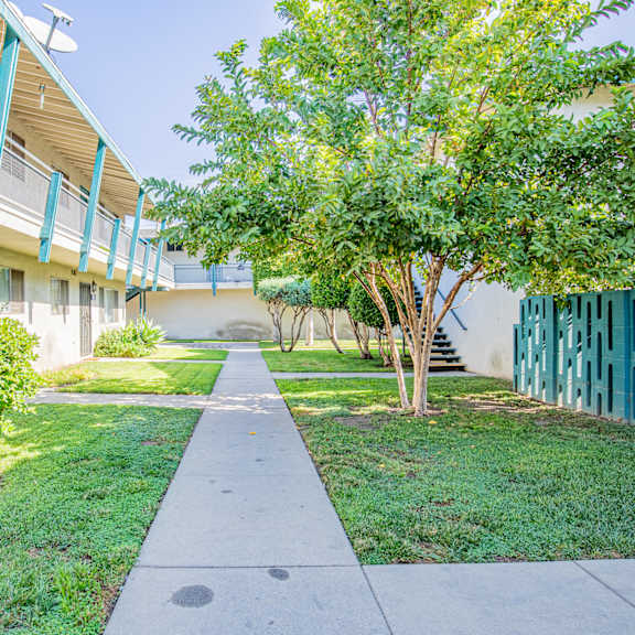 a tree is in front of a white building with green trim.