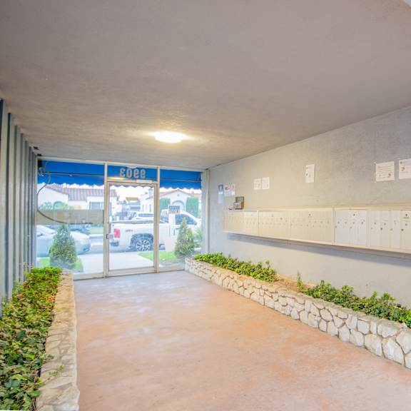 a hallway with a stone border and green plants on the side.