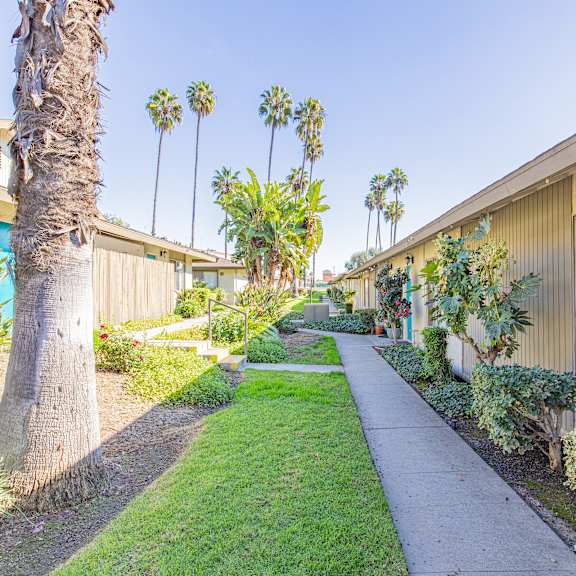 a row of houses with a sidewalk and palm trees.