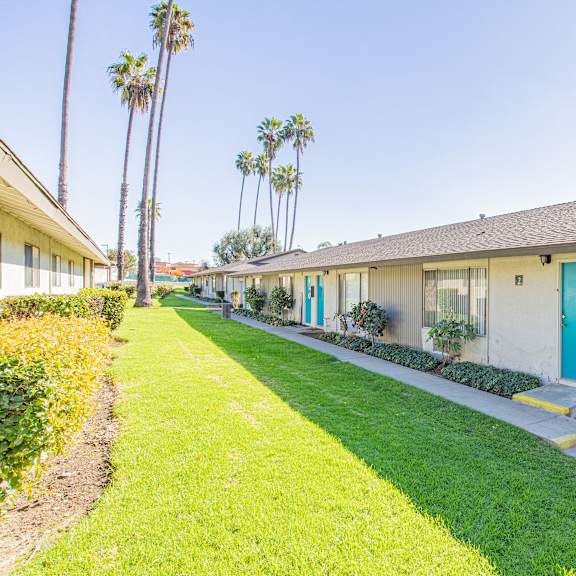 a sunny day at a row of houses with a blue door.