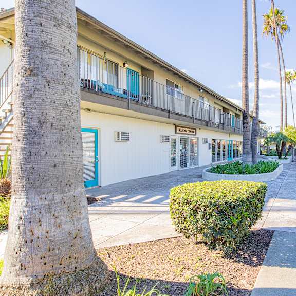 a building with a blue door and palm trees in front.