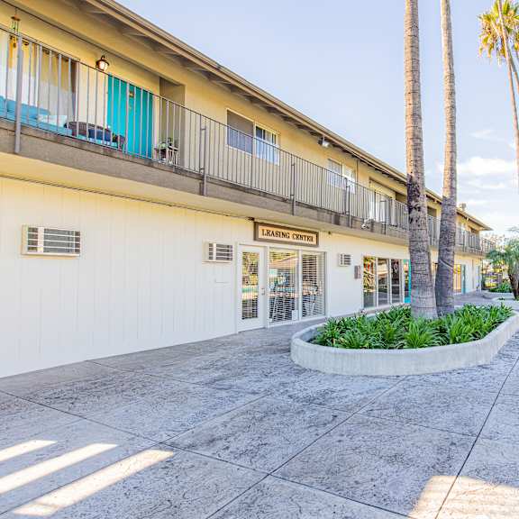 a learning center with palm trees in the background.