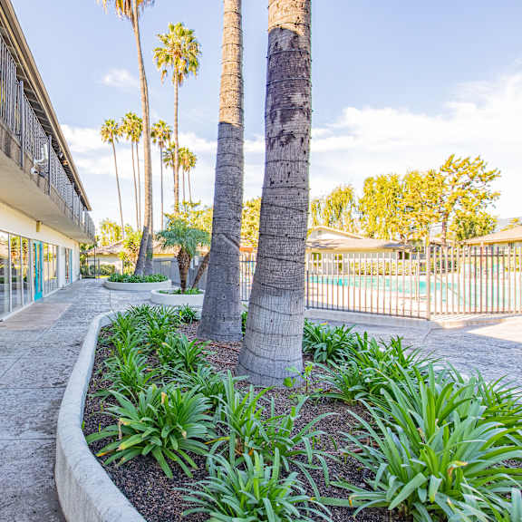 a leasing center with a white building and a palm tree in front.
