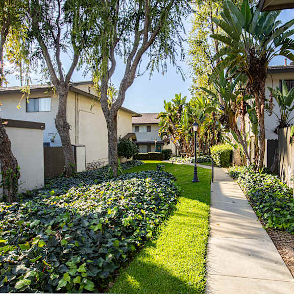 a residential area with a sidewalk and greenery.