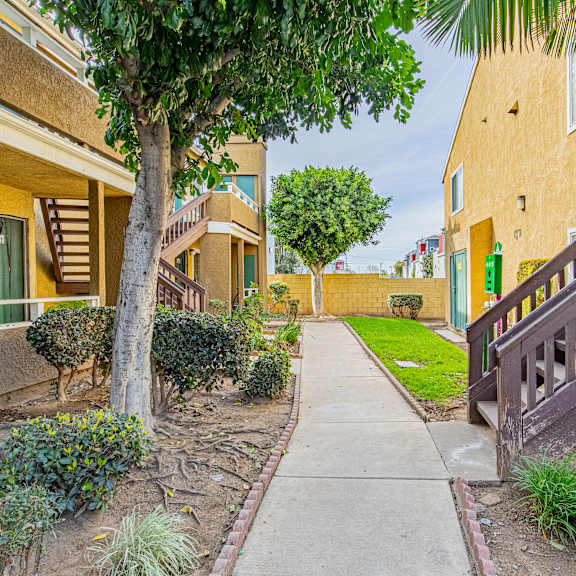 a tree in front of a building with a yellow door.
