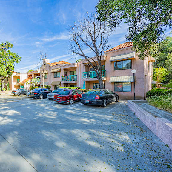 a sunny day at a residential area with cars parked and trees around.
