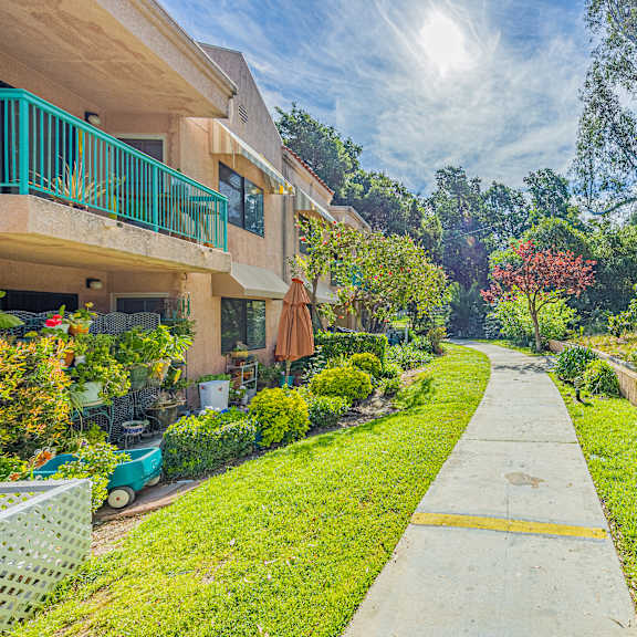 a sunny day in a residential area with a clear blue sky and greenery.