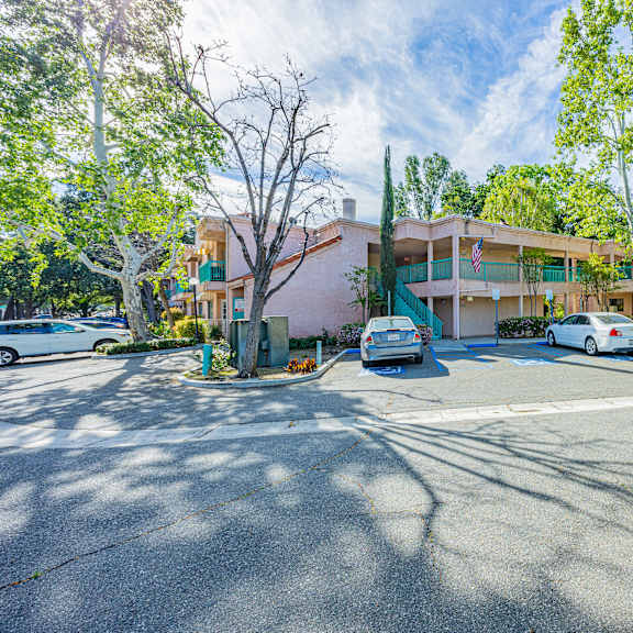 a sunny day at a residential area with cars parked and trees lining the street.
