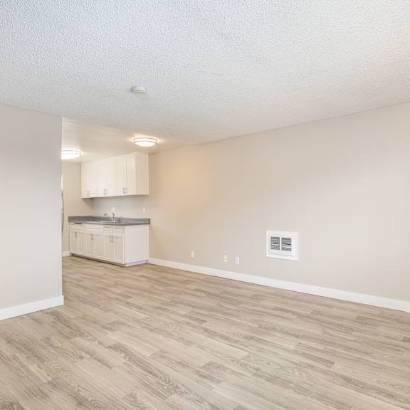 a room with a kitchenette in the background and a hardwood floor.