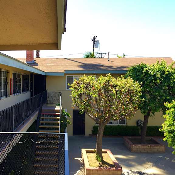 a tree in a planter is in the foreground of a building with a balcony.