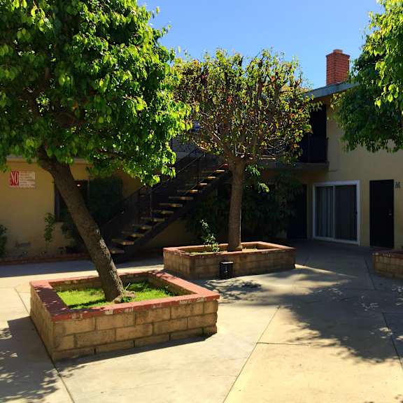 a tree in a planter box is in front of a house.