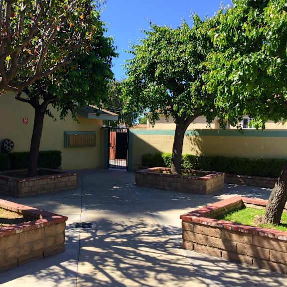 a courtyard with trees and a building in the background.
