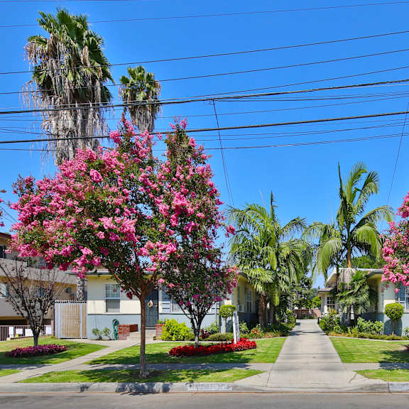 a street view of a residential area with houses, trees, and a clear blue sky.