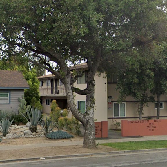 a tree in front of a house with a red fence.