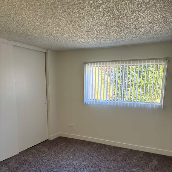 a window with blinds is open, letting in light.
