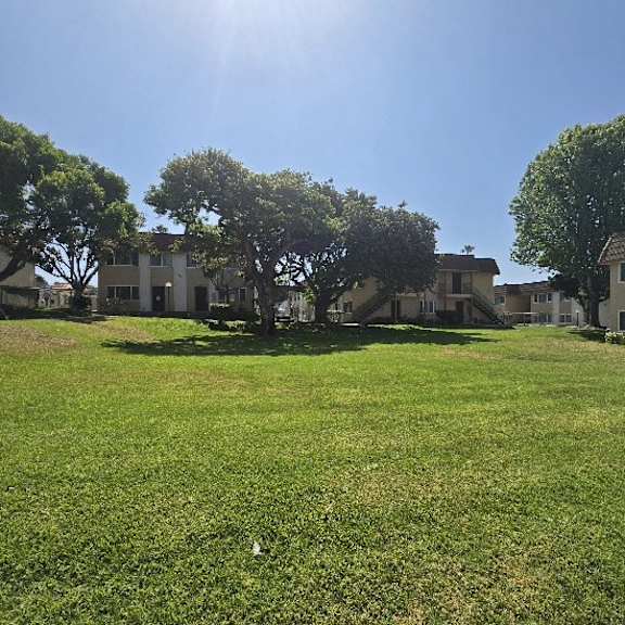 a sunny day in a grassy field with trees and houses in the background.