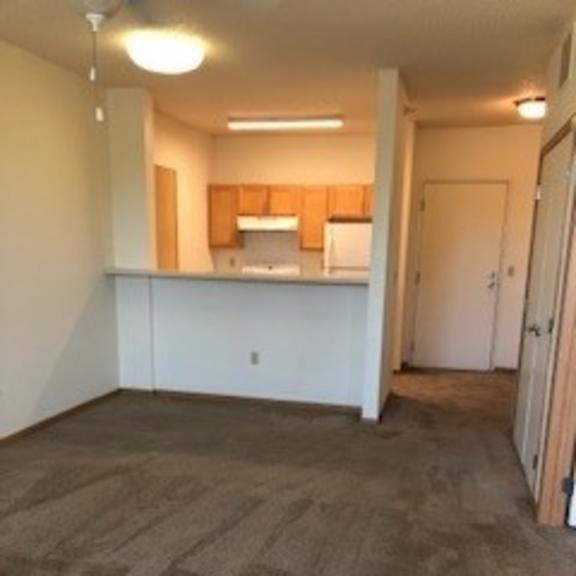 a room with a carpeted floor and a kitchenette in the background.