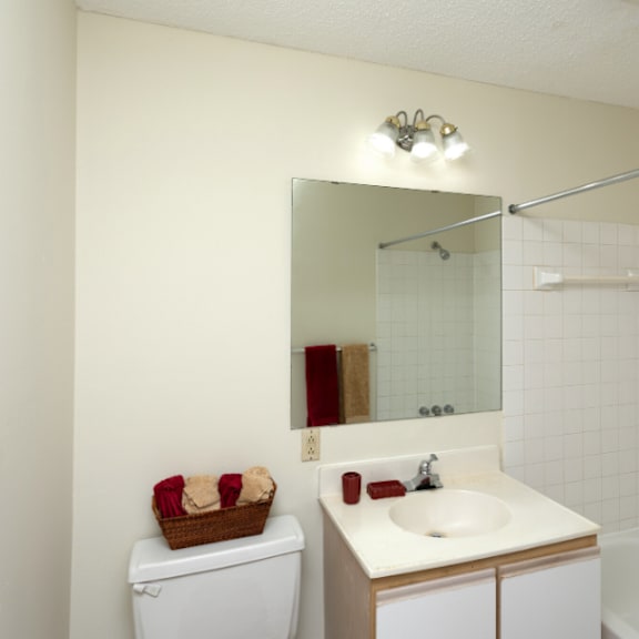 a white toilet sits next to a sink in a small bathroom.