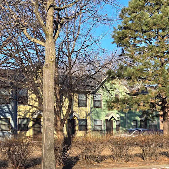 a large tree in front of a blue house.