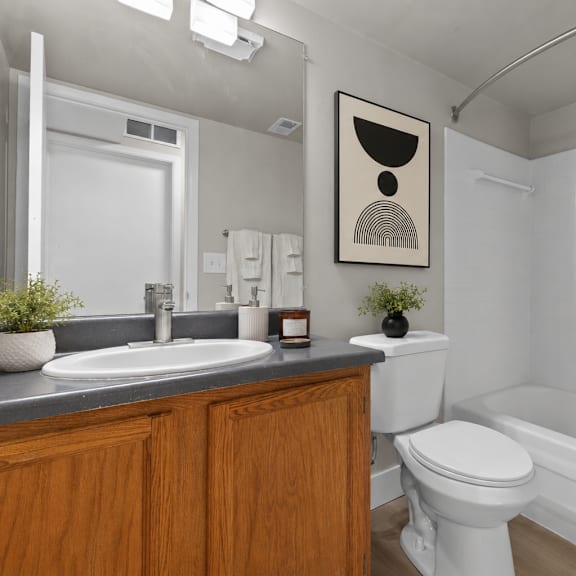 a bathroom with a toilet, sink, and a plant.