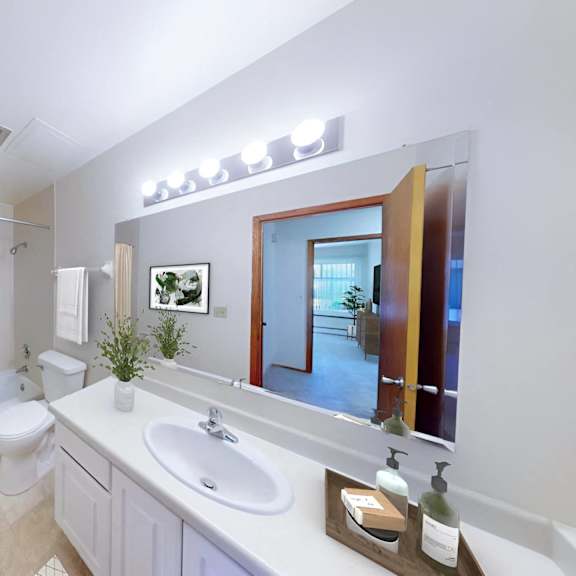 a bathroom with a sink and a toilet and a mirror