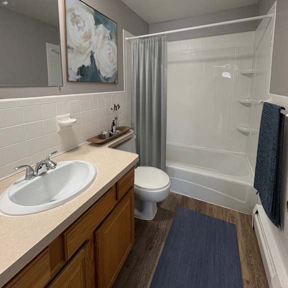 a bathroom with a sink, toilet, and shower.