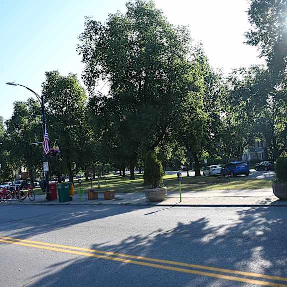 a sunny day in a park with a yellow line on the road.