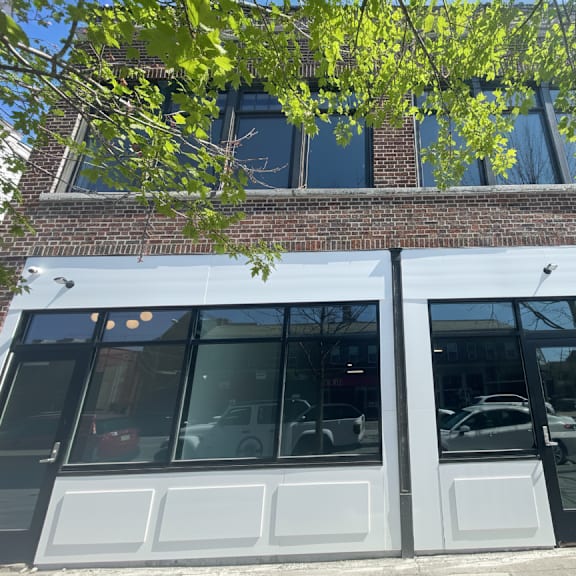 a building with a brick facade and large windows with a tree branch hanging over the windows.