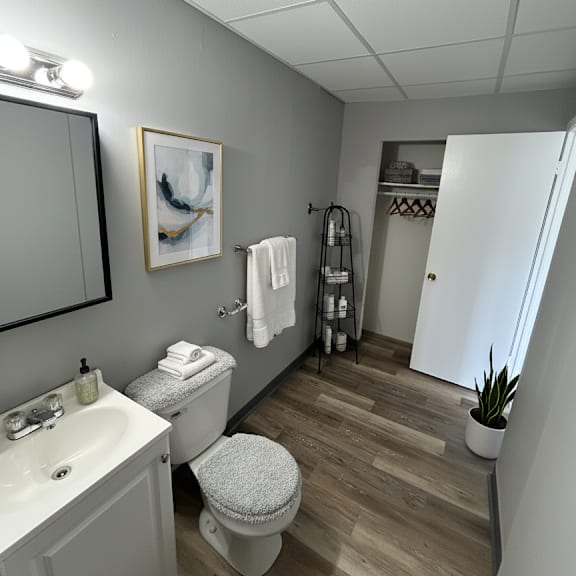 a bathroom with a toilet, sink, and mirror.